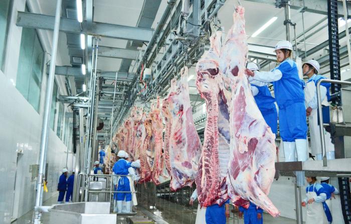牛肉：阳信县屠宰能力列全国县级第一