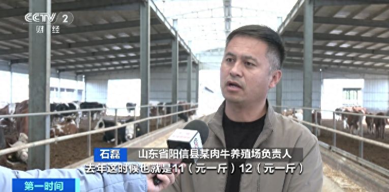 全国肉牛养殖连续六个月盈利！后续价格怎么走？