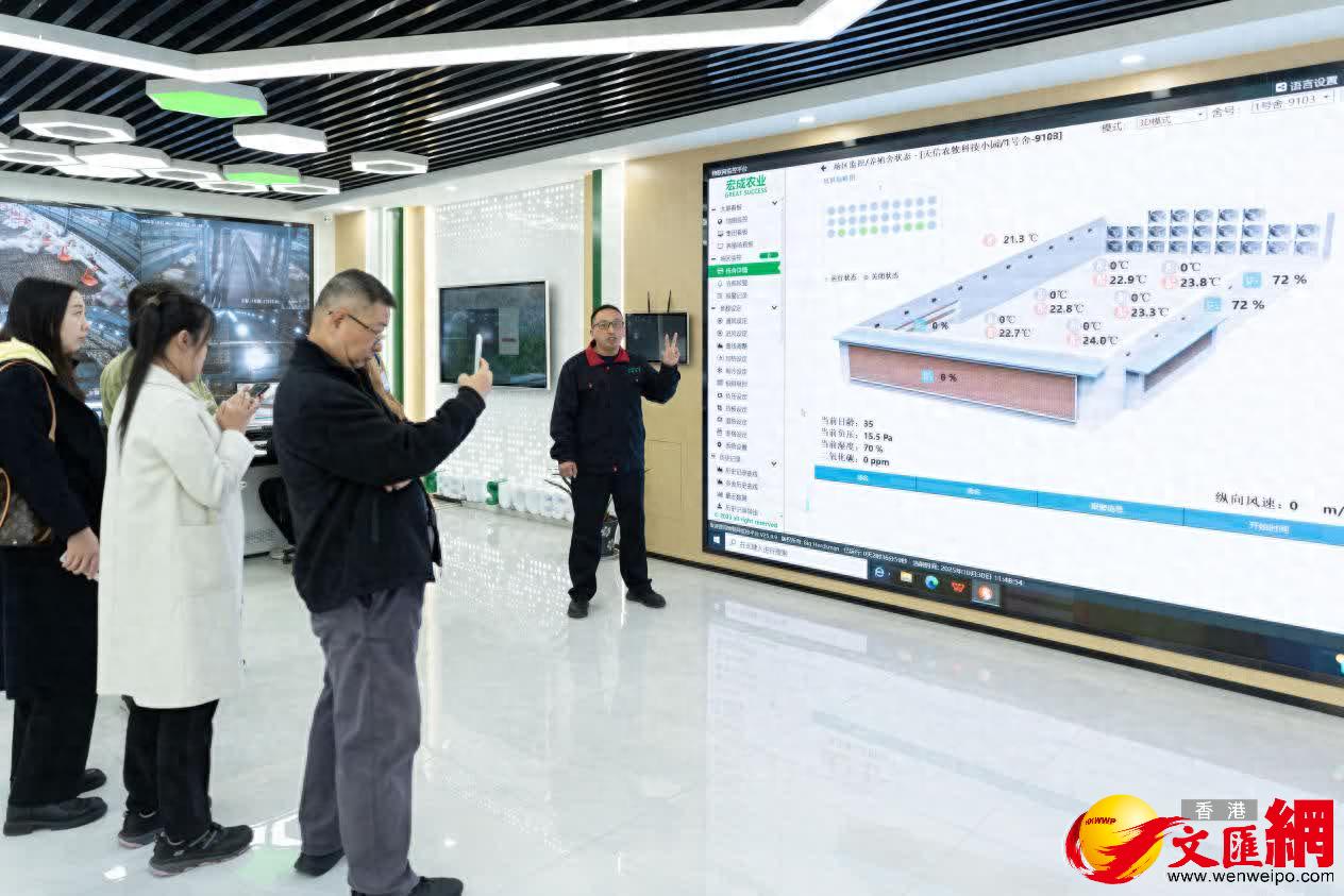 这里的鸭子住小楼 每年出栏1亿只！