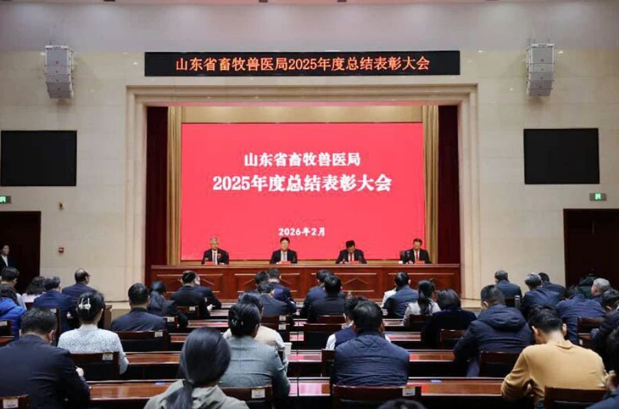 产值产量全国&ldquo;双第一&rdquo;！山东畜牧业 &ldquo;十五五&rdquo;瞄准迈向&ldquo;畜牧强省&rdquo;，2026年四大重点发力