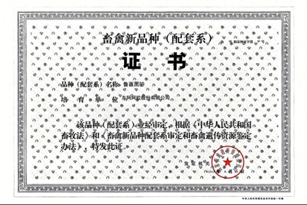 东阿阿胶牵头培育的&ldquo;鲁西黑驴&rdquo;获批国家畜禽新品种